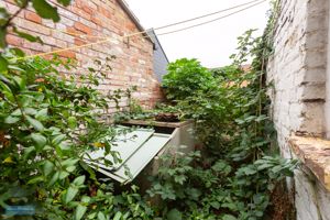 Garden- click for photo gallery